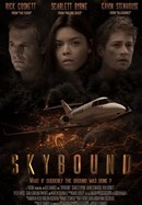 Skybound poster image