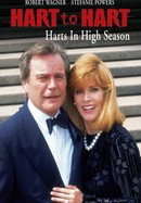 Hart to Hart: Harts in High Season poster image