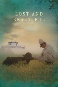 Lost and Beautiful poster