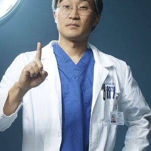 Keong Sim as Dr. Sung Park