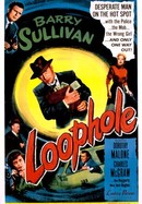 Loophole poster image