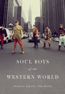 Soul Boys of the Western World poster image