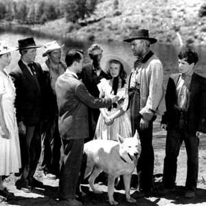 THE BIG CAT, Sara Haden, Irving Bacon, Preston Foster, Lon McCallister, Skip Homeier, Peggy Ann Garner, Forrest Tucker, Gene Reynolds, 1949