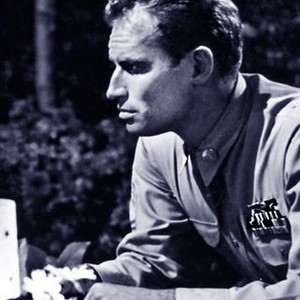 Lucy Gallant (1955) photo 3