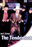 The Tenderfoot poster image