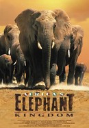 Africa's Elephant Kingdom poster image