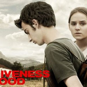 The Forgiveness of Blood photo 14