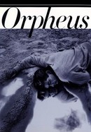 Orpheus poster image