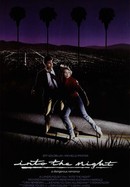 Into the Night poster image