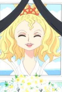 One Piece: Season 15, Episode 25 - Rotten Tomatoes