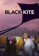 Black Kite poster image