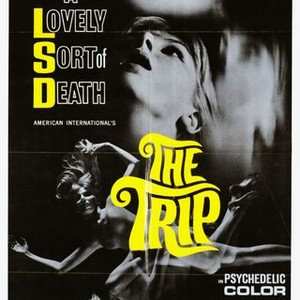 The Trip (1967) photo 1