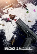 Narcoworld: Dope Stories poster image
