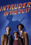 Intruder in the Dust poster image