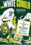 The White Gorilla poster image