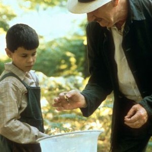 Butterfly (1999) photo 10