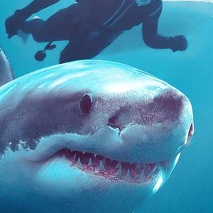 Playing With Sharks - Rotten Tomatoes