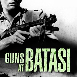 Guns at Batasi photo 7