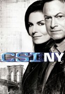 CSI: New York poster image