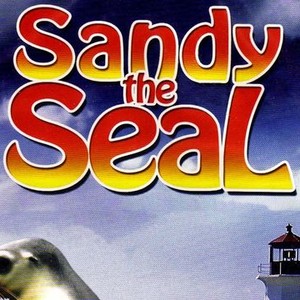 Sandy the Seal photo 5