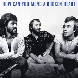 The Bee Gees: How Can You Mend a Broken Heart photo 12