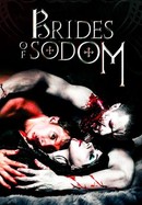 The Brides of Sodom poster image