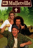 Mulletville poster image