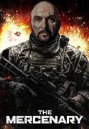The Mercenary poster image