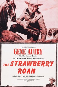 The Strawberry Roan