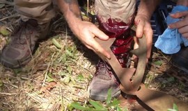 The Walking Dead: Season 8 Episode 11 Featurette - Rigging Bear Traps