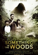 Something in the Woods poster image