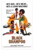 Poster for