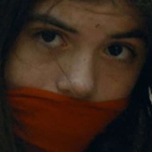 What layer is the ozone in picture