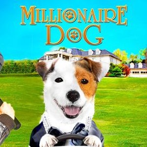 Millionaire Dog photo 12