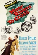 Many Rivers to Cross poster image