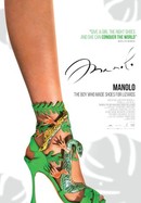 Manolo: The Boy Who Made Shoes for Lizards poster image
