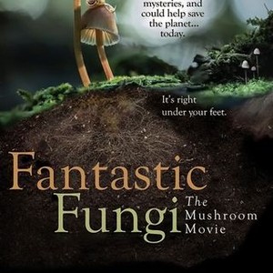 Fantastic Fungi photo 12