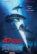 47 Meters Down poster image