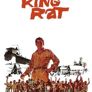 File:King-rat.jpg - Wikipedia