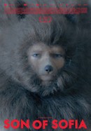 Son of Sofia poster image