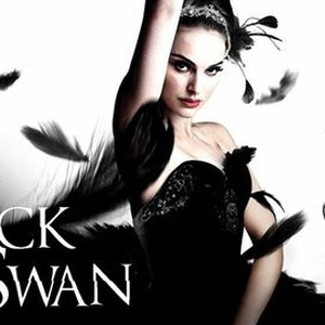 Black Swan photo 6