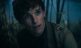 Fantastic Beasts: The Secrets Of Dumbledore - Rotten Tomatoes