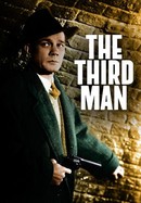 The Third Man poster image