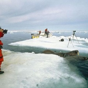 Adam Ravetch - Rotten Tomatoes