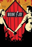 Mount Joy poster image