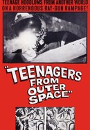 Teenagers From Outer Space poster image