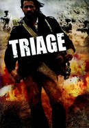 Triage poster image