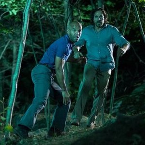 Animal - Rotten Tomatoes