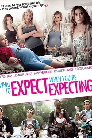 What to Expect When You're Expecting poster