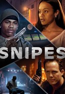 Snipes poster image
